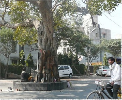 Images/delhi 101.jpg